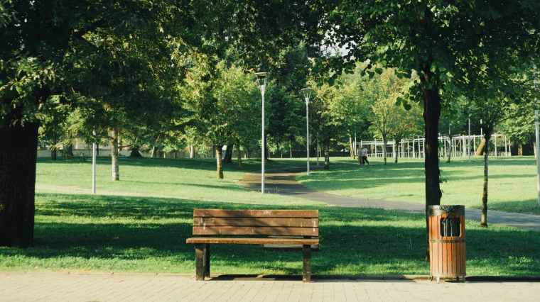 Commercial Lawn Care (1)